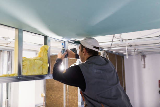 Best Insulation Materials and Products in Chase City, VA