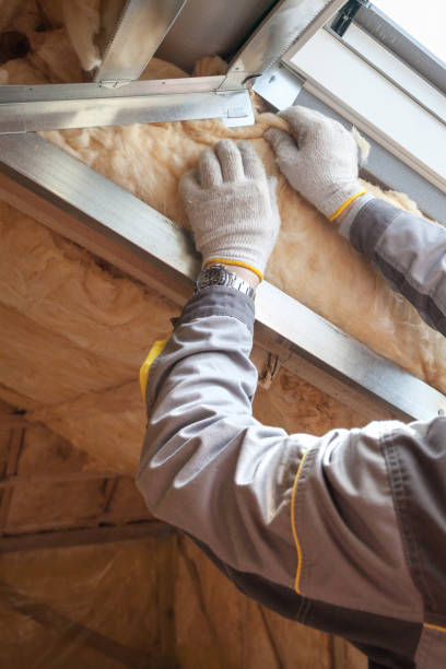 Best Commercial Insulation in Chase City, VA