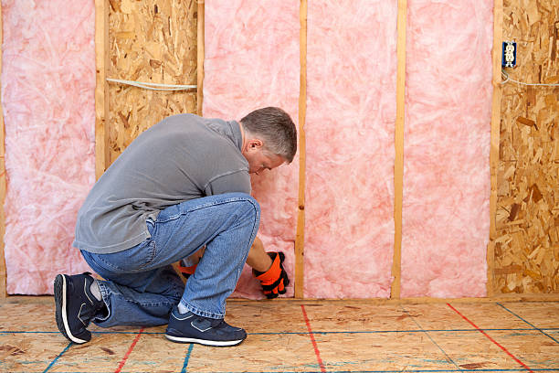 Best Insulation Installation Services in Chase City, VA