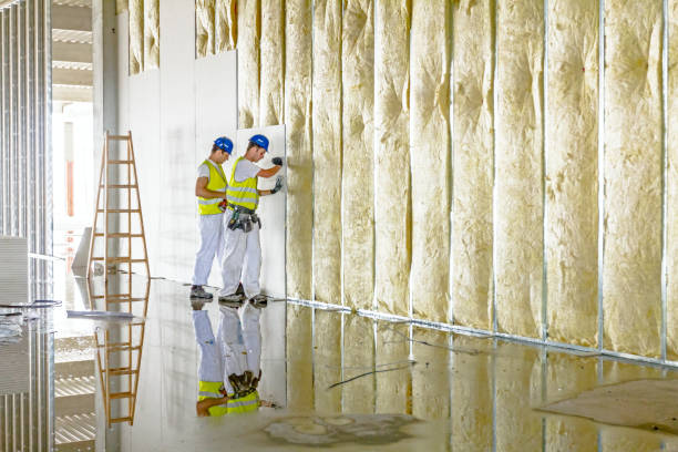 Best Insulation Installation Services in Chase City, VA